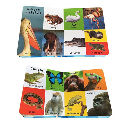 0-2 Years English Children's Cognitive Encyclopedia Enhancing Cognition Children's Early Learning Books