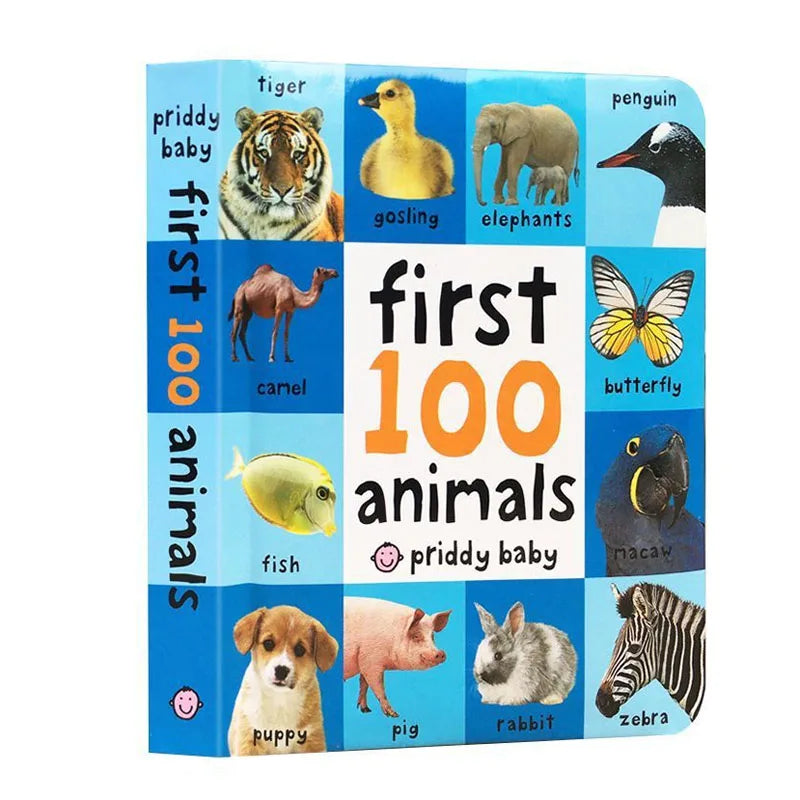 0-2 Years English Children's Cognitive Encyclopedia Enhancing Cognition Children's Early Learning Books