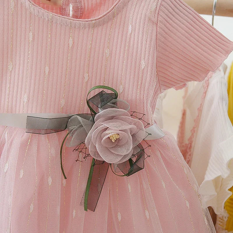 Baby Girls Dress Sweet Princess Dress Flower Ribbon  Shaggy Gauze Dress Birthday Party Dress